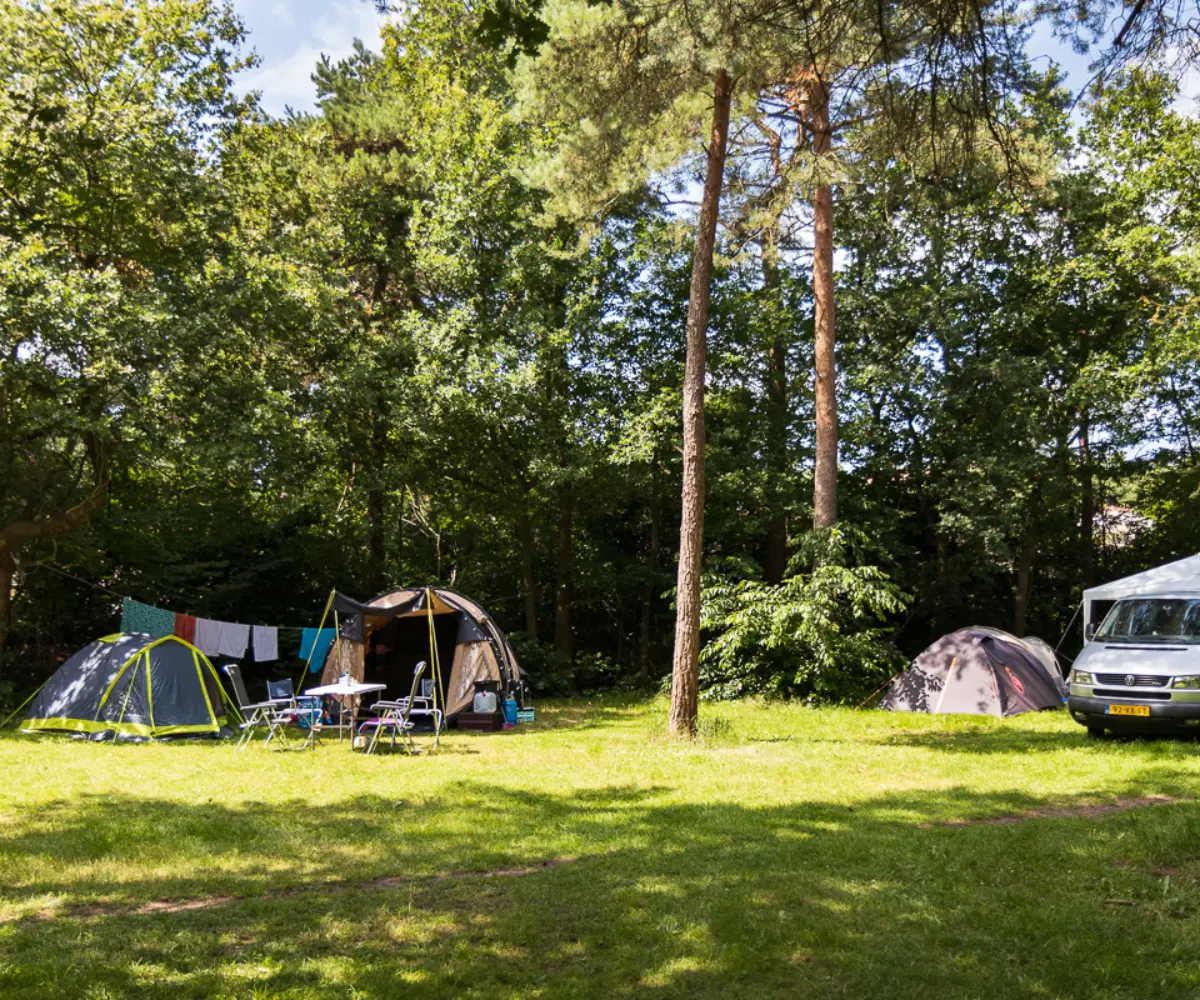 HTH Vossenburcht Lowres 9322