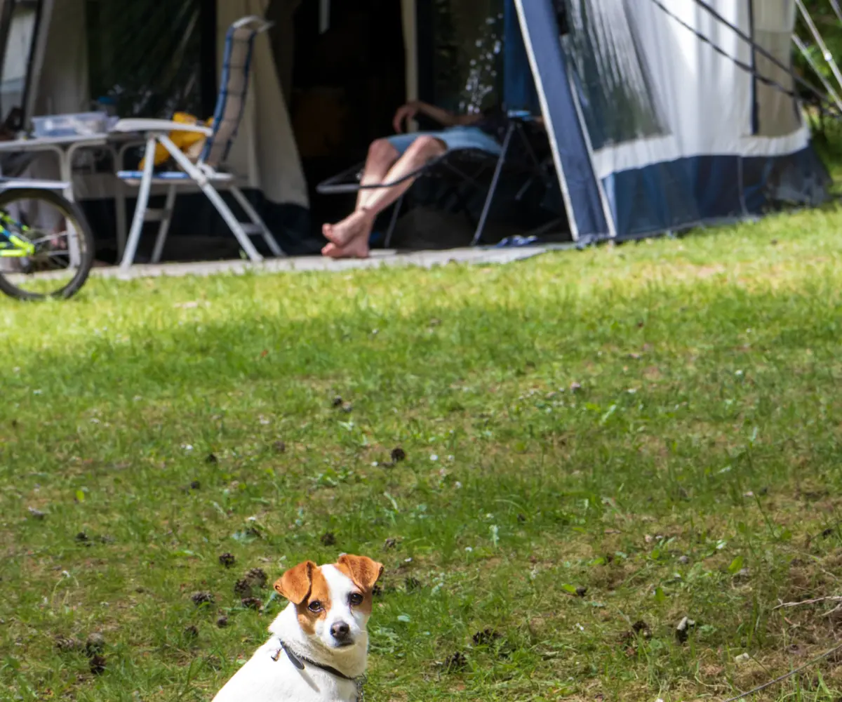 HTH Vossenburcht Lowres 2425