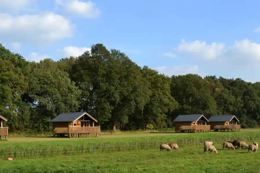 Akkerlodges 800x336