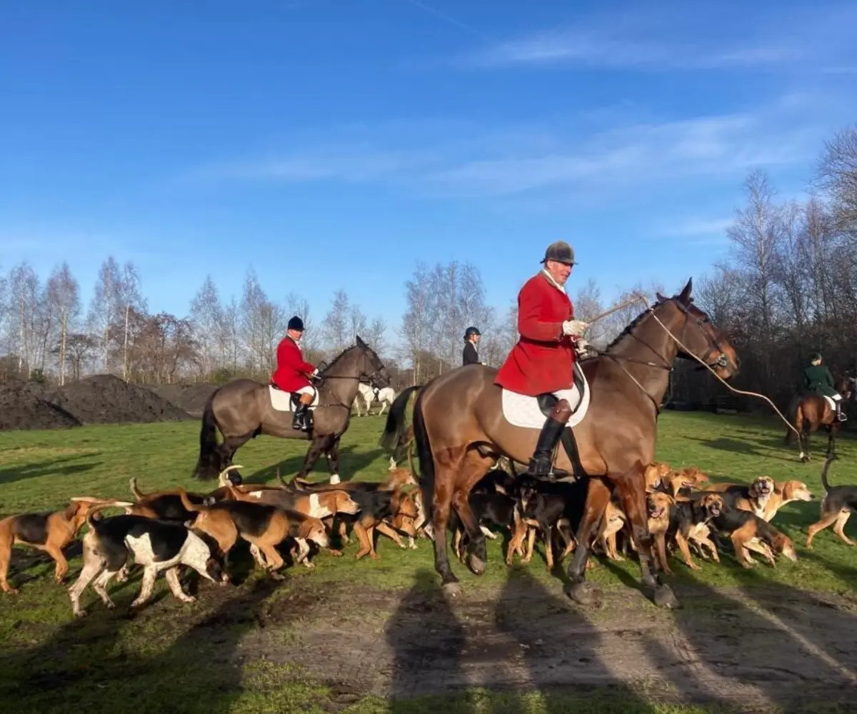 082f3703 bf63 4cce 9ea1 d4ef15b04c5a