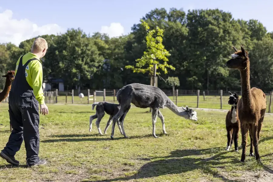 Kinderboerderij Samenzoo