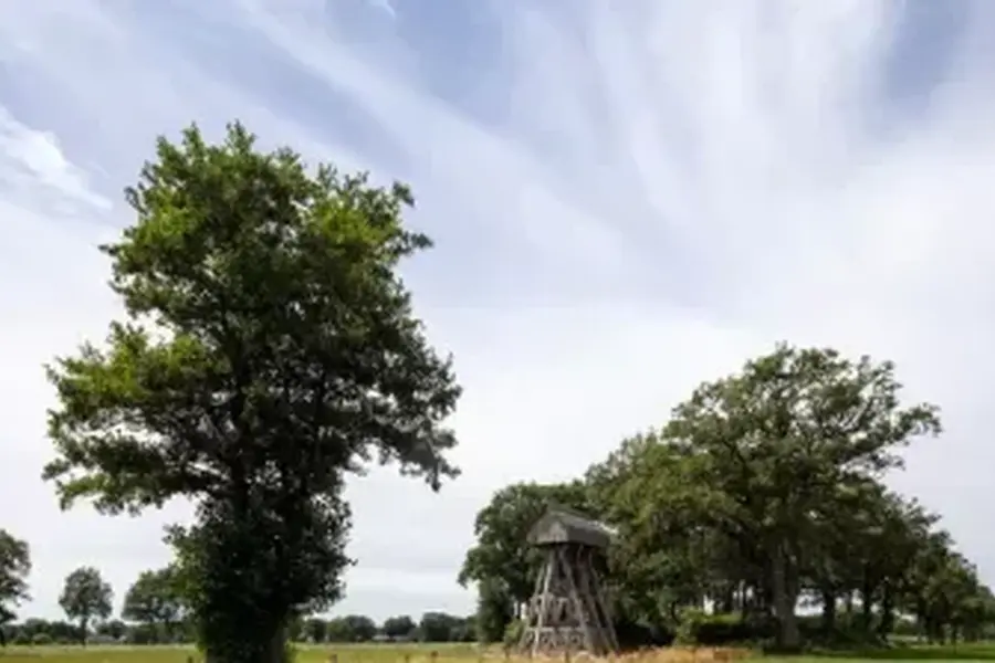 Klokken