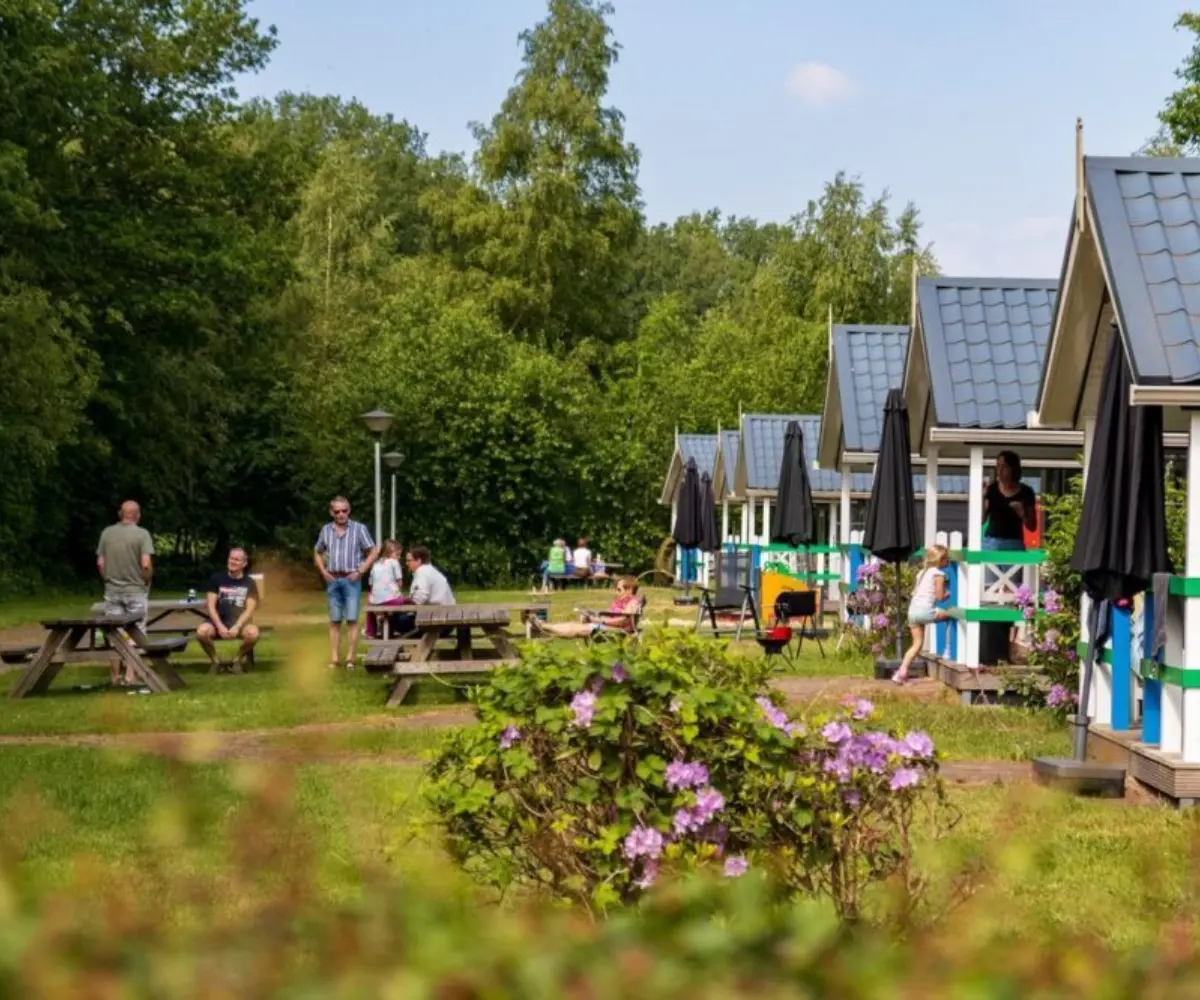 Accommodaties bij boscamping Overijssel