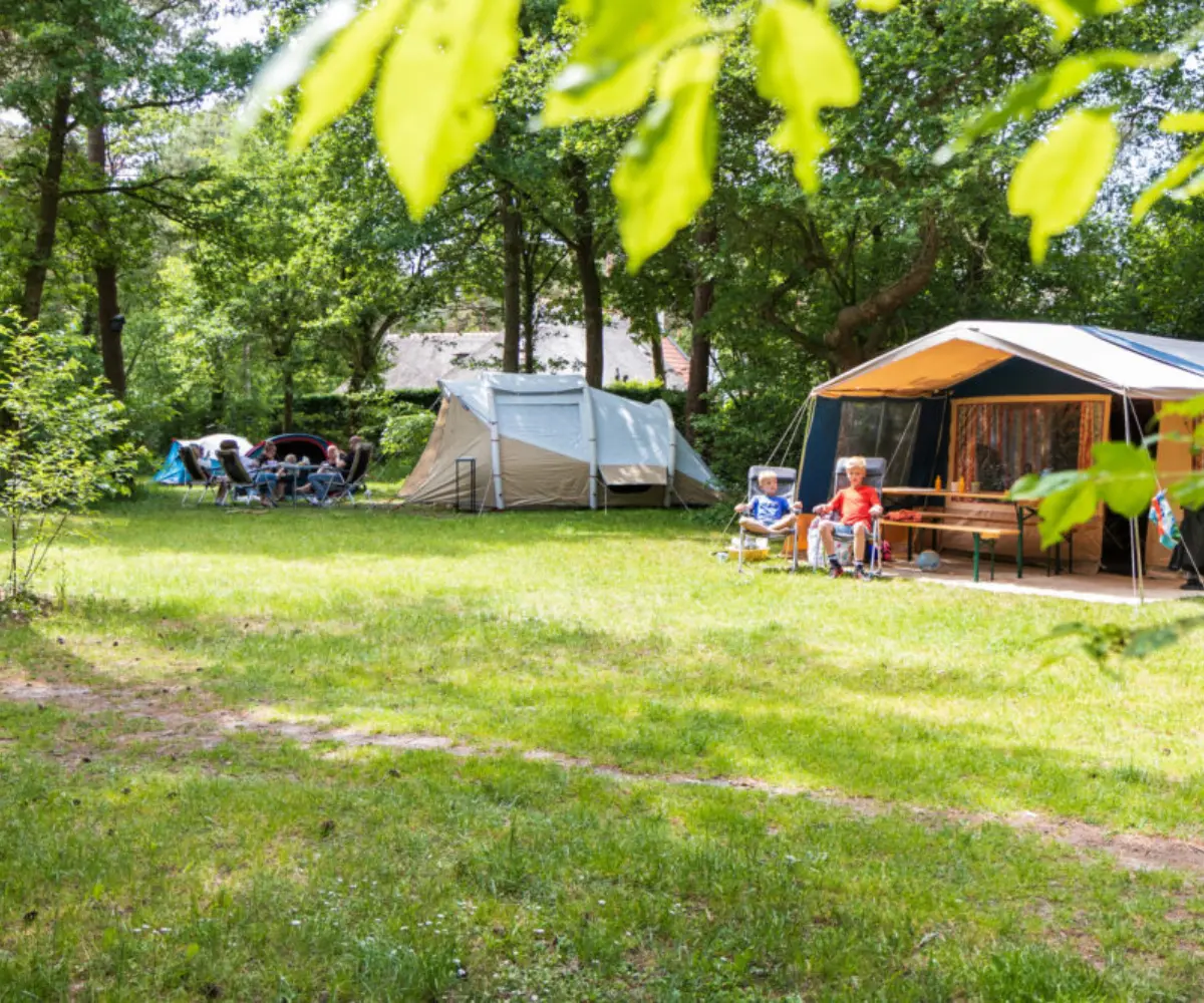 Kamperen in het bos Overijssel