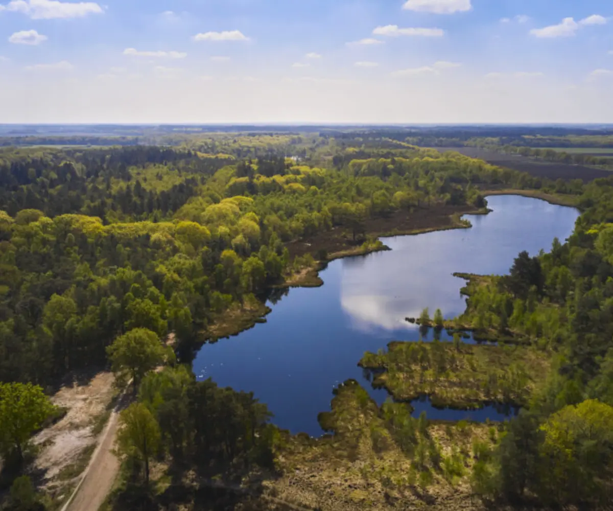 Omgeving bij Dedemsvaart