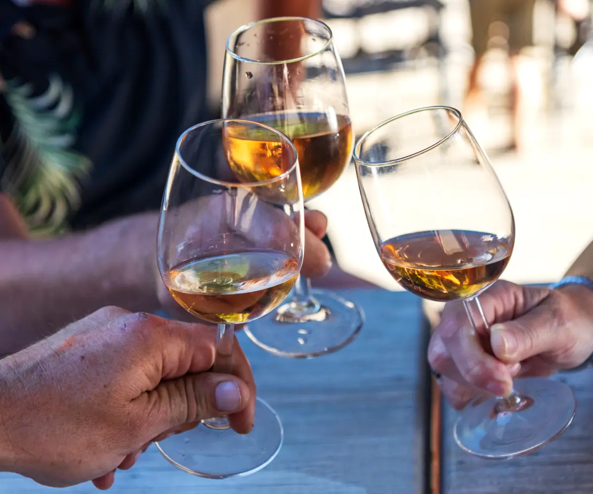 HTH Lowres Vossenburcht 3901