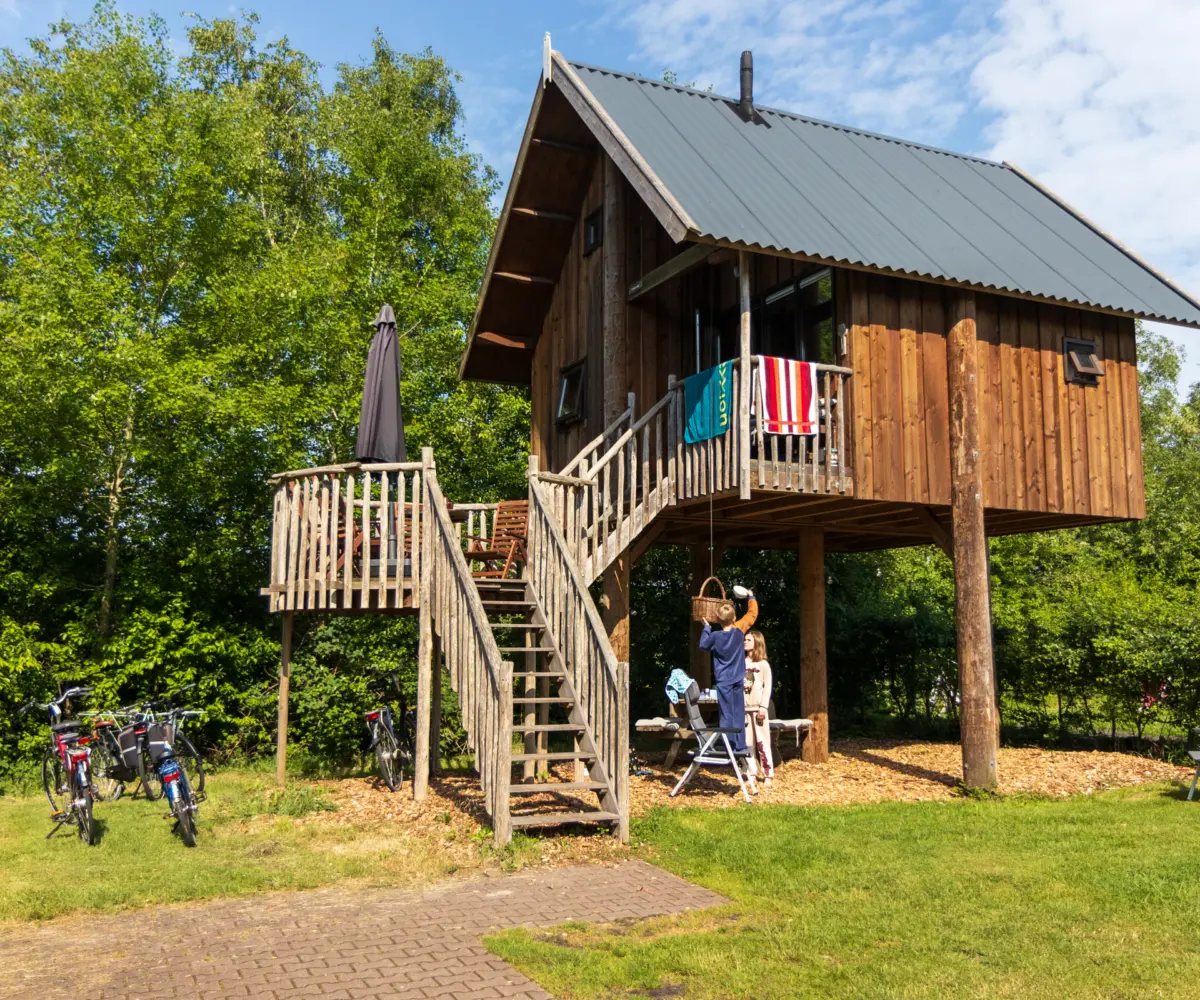 N1 A6826 Low Res HTH