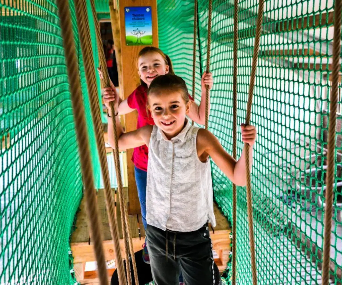 Klimmen boven koeien 1024x682