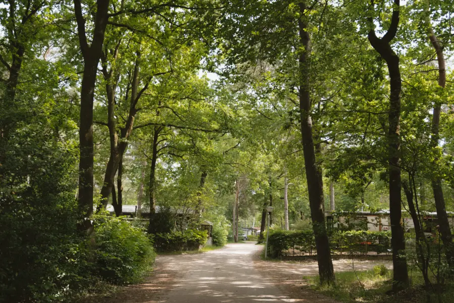 Famcamping devossenburcht 353